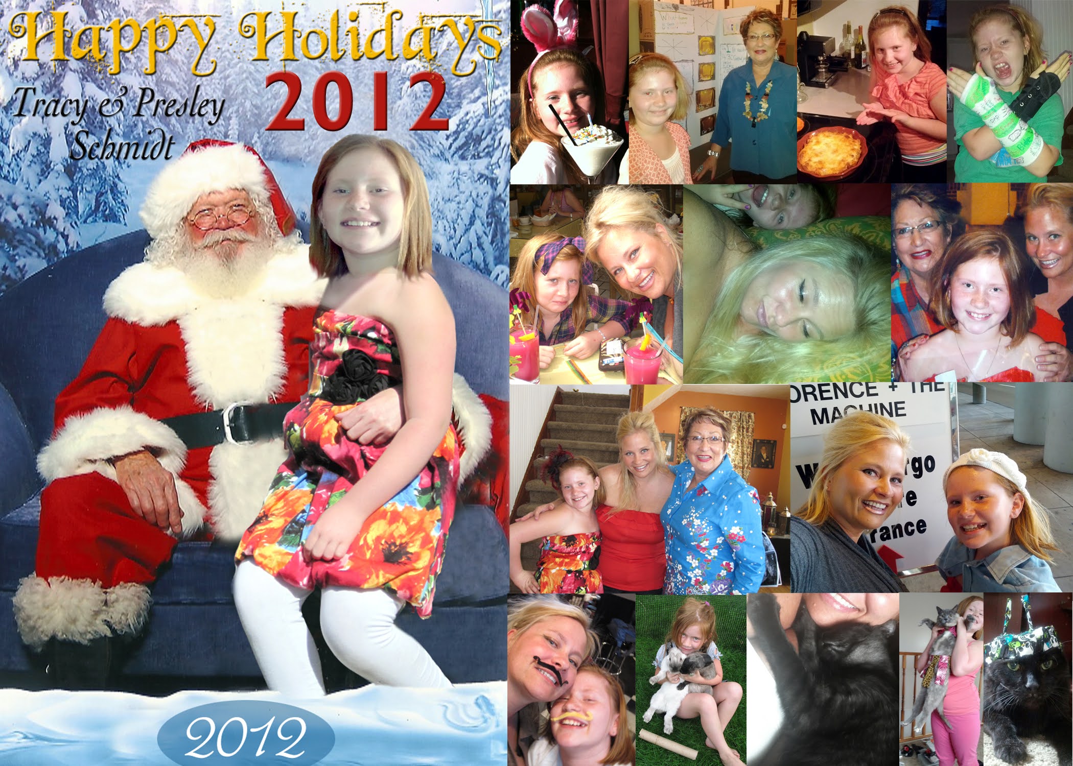 Tracy's 2012 Holiday Greeting Card