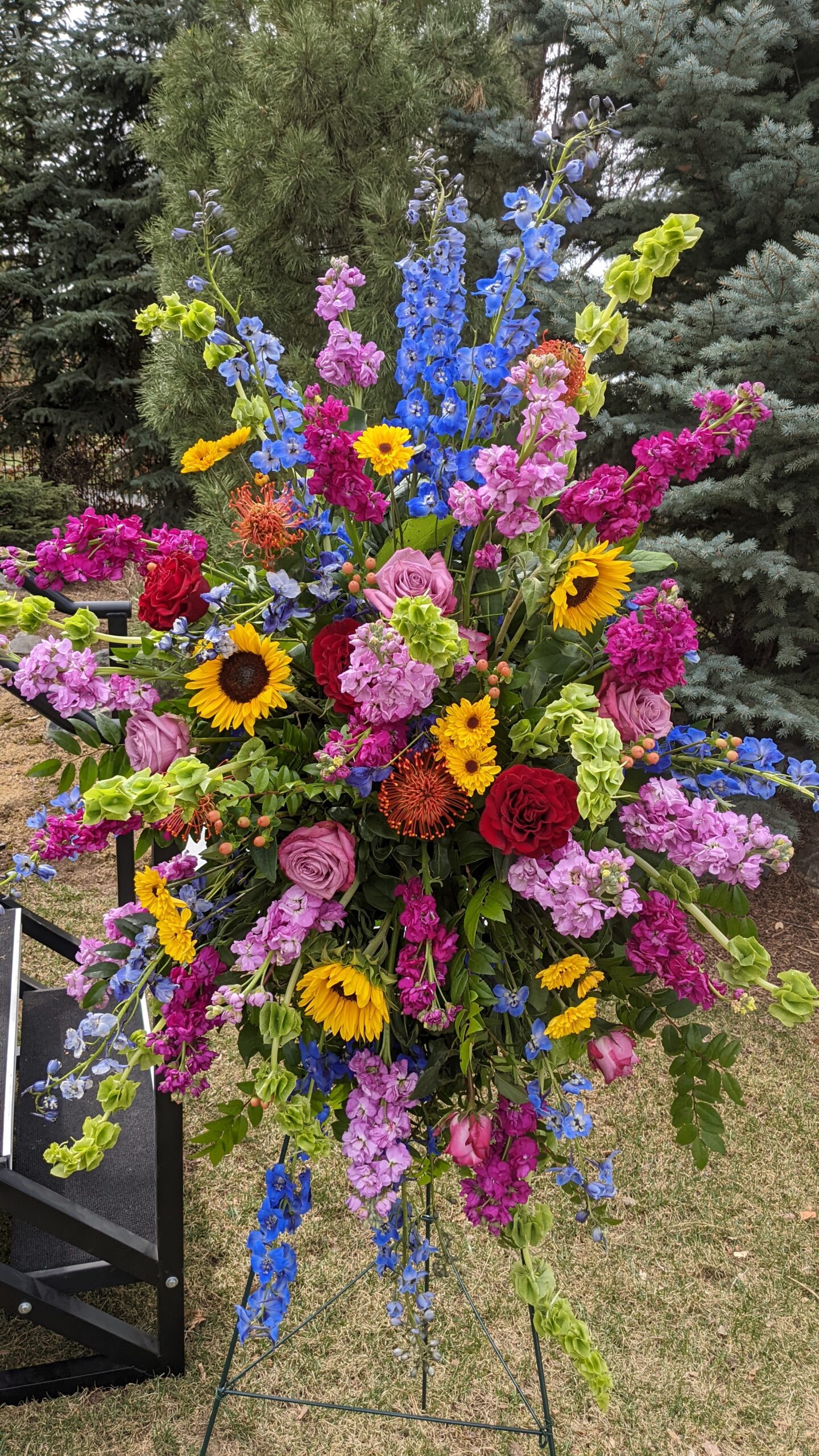 photo-PXL_20220409_174441539